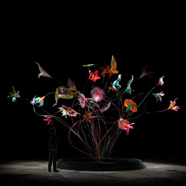 fiori C sito
